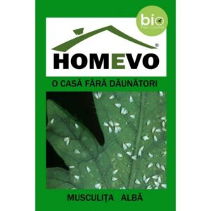 HOMEVO - DIATOM PEST MUSCULITA ALBA – 50 G