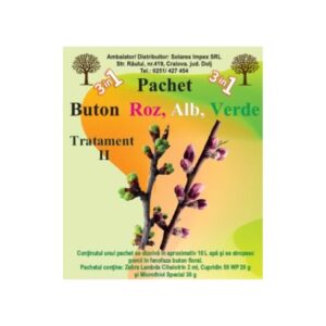 Pachet II pentru 10 LT buton floral
