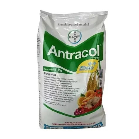 Fungicid - Antracol 70 WP 1 kg