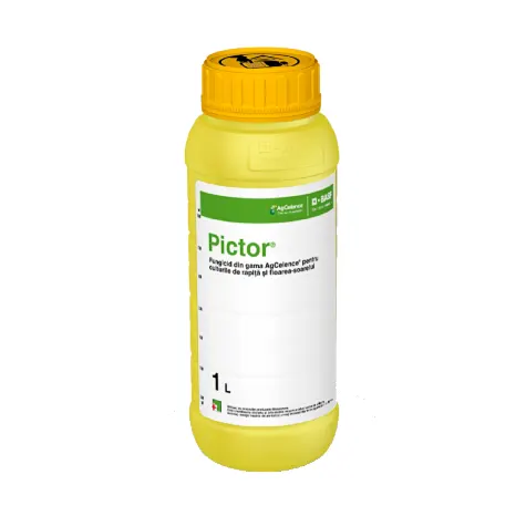 Pictor 1 l